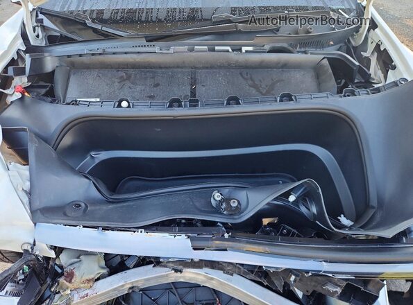7SAYGDEDXTF460888 2026 TESLA MODEL Белый Вид задней части салона