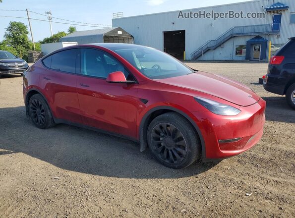 7SAYGDEE0RF019997 2024 TESLA MODEL Red Delantero derecho