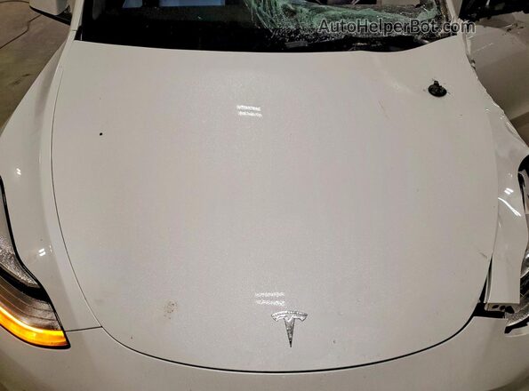 7SAYGDEE1NF354647 2022 TESLA MODEL White Вид задньої частини салону