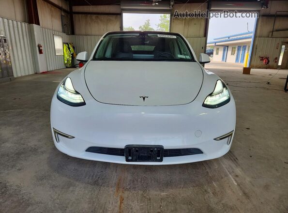 7SAYGDEE1PF611177 2023 TESLA MODEL Белый Вид спереди