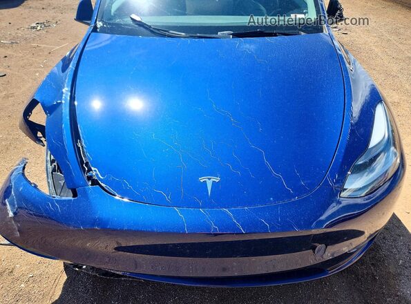 7SAYGDEE1PF971341 2023 TESLA MODEL Blue Սալոնի հետևի տեսք