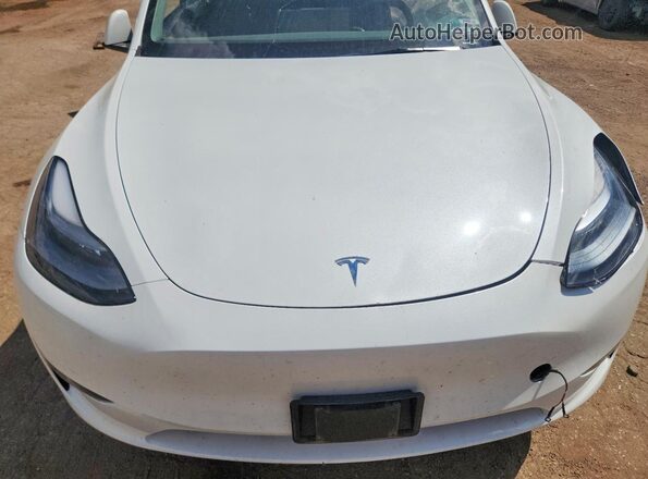 7SAYGDEE1RA312790 2024 TESLA MODEL Белый Вид задней части салона