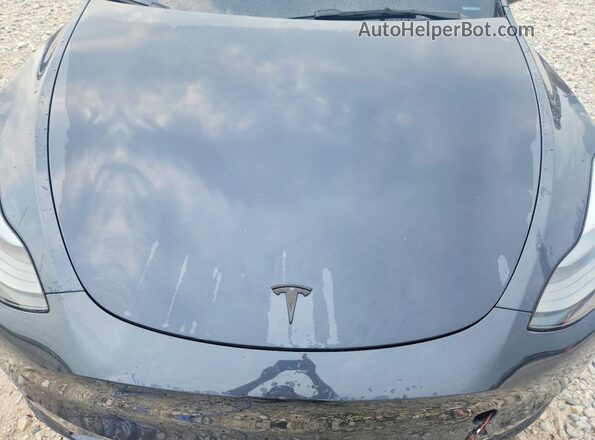 7SAYGDEE3RF993229 2024 TESLA MODEL Gray Սալոնի հետևի տեսք