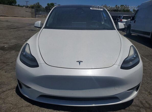 7SAYGDEE4PA069179 2023 TESLA MODEL White Widok z przodu