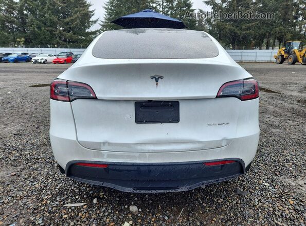 7SAYGDEE4RF190459 2024 TESLA MODEL White უკანა ხედი