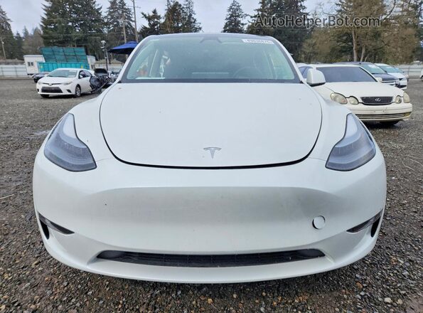 7SAYGDEE4RF190459 2024 TESLA MODEL White წინა ხედი