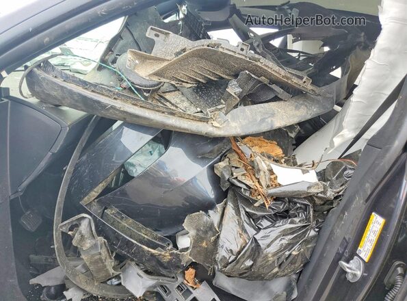 7SAYGDEE4TF579965 2026 TESLA MODEL Black Սալոնի դիմացի տեսք