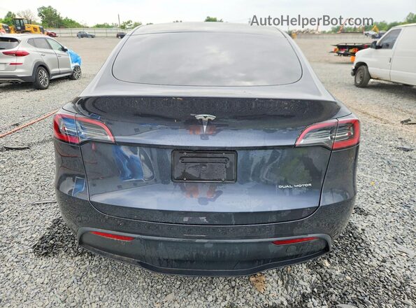 7SAYGDEE5RA283102 2024 TESLA MODEL Серый Вид сзади