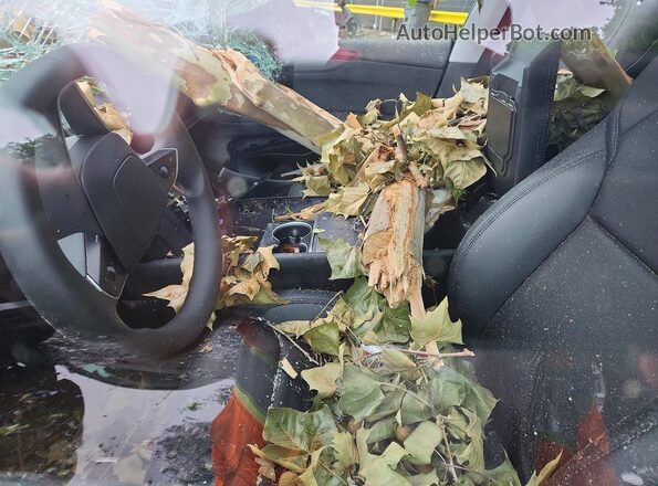 7SAYGDEE6TF399452 2026 TESLA MODEL Gray Вид салону спереду