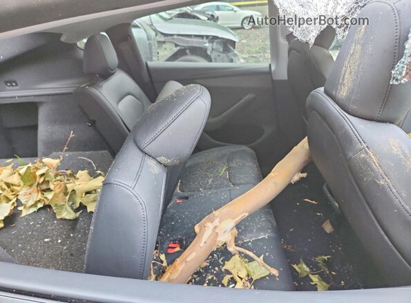 7SAYGDEE6TF399452 2026 TESLA MODEL Gray Вид задніх сидінь