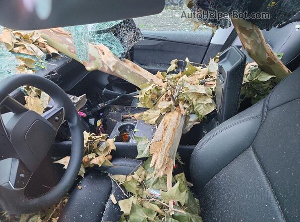 7SAYGDEE6TF399452 2026 TESLA MODEL Gray Вид панелі приладів