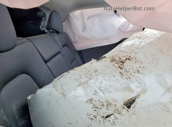 7SAYGDEE8SF215952 2025 TESLA MODEL Белый Вид задних сидений