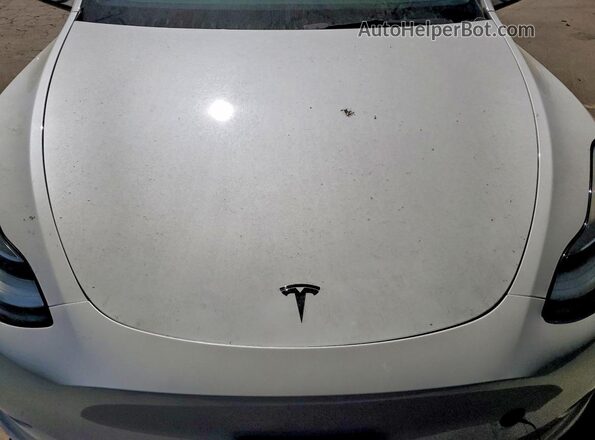 7SAYGDEE9PA023010 2023 TESLA MODEL Белый Вид задней части салона