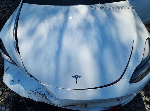 7SAYGDEE9PF683342 2023 TESLA MODEL Белый Вид задней части салона