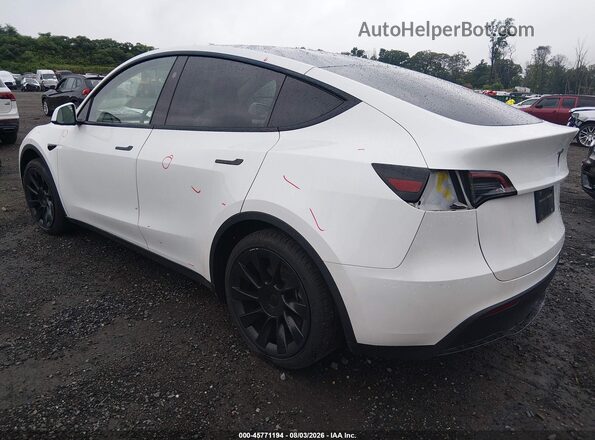 7SAYGDEE9PF855580 2023 TESLA MODEL Y Gray Հետևի ձախ