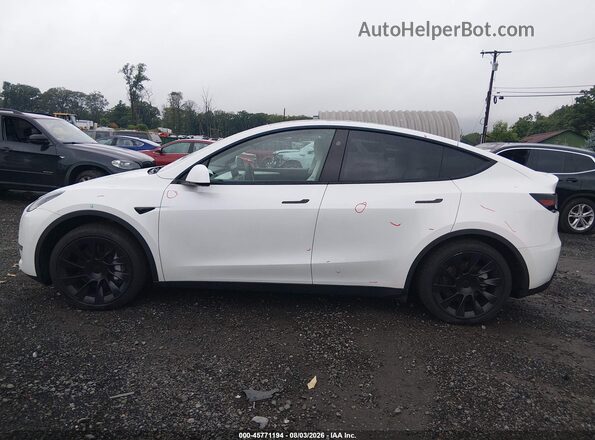 7SAYGDEE9PF855580 2023 TESLA MODEL Y Gray 