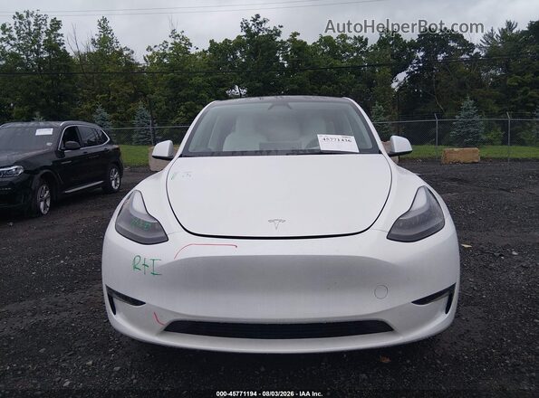 7SAYGDEE9PF855580 2023 TESLA MODEL Y Gray Սալոնի հետևի տեսք