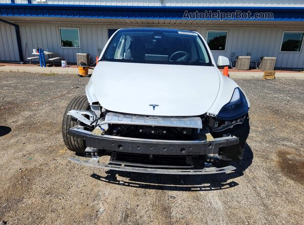 7SAYGDEE9RF169588 2024 TESLA MODEL White Widok z przodu
