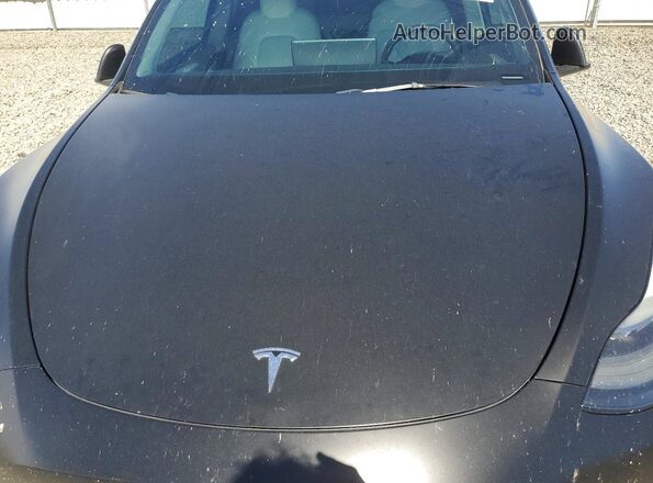 7SAYGDEF0RF022813 2024 TESLA MODEL Black Սալոնի հետևի տեսք
