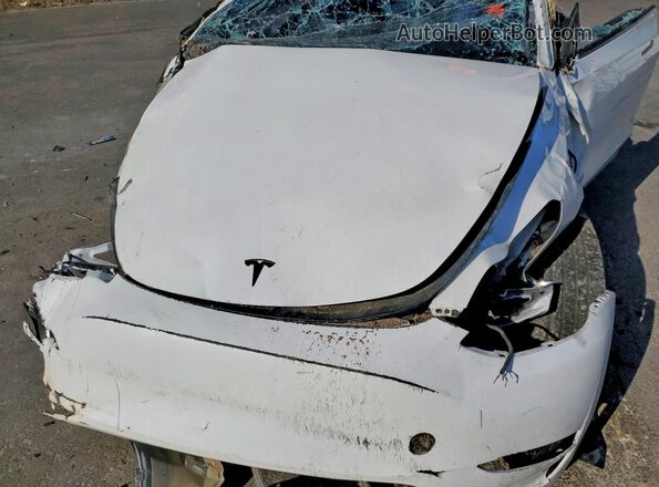 7SAYGDEF2PF863478 2023 TESLA MODEL Белый Вид задней части салона