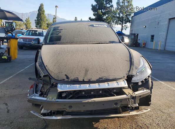 7SAYGDEF7RF058515 2024 TESLA MODEL Black Widok z przodu