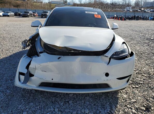 7SAYGDEF8NF397665 2022 TESLA MODEL White Front view