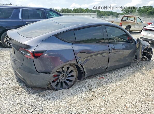 7SAYGDEF8PF894248 2023 TESLA MODEL Blue Հետևի աջ