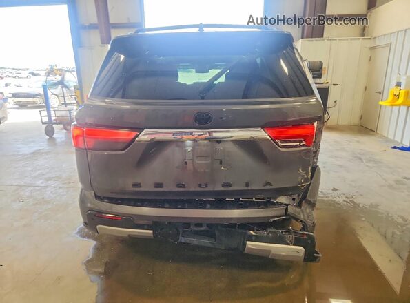 7SVAAABA3RX044324 2024 TOYOTA SEQUOIA Charcoal Հետևի տեսք