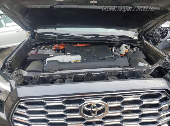 7SVAAABA4TX080255 2026 TOYOTA SEQUOIA Charcoal Սալոնի հետևի տեսք