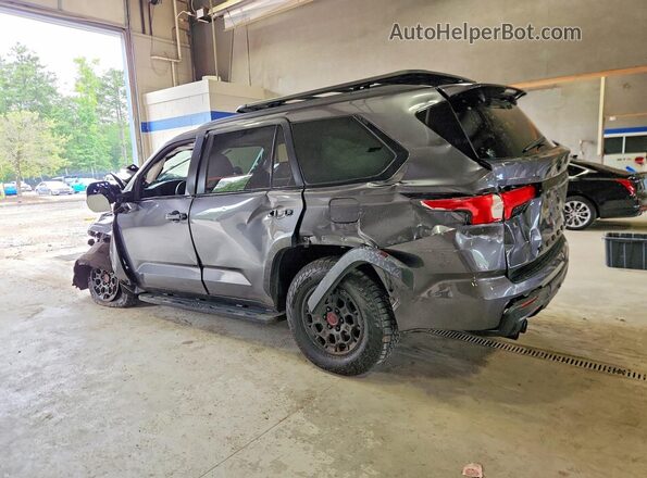 7SVAAABA5RX040677 2024 TOYOTA SEQUOIA Gray Tył lewy