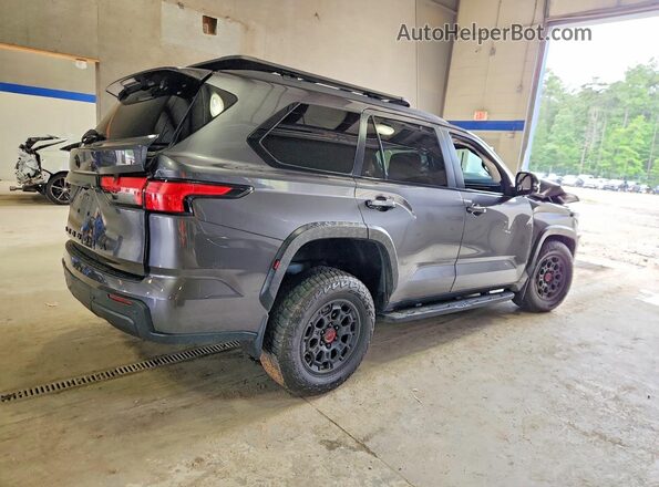 7SVAAABA5RX040677 2024 TOYOTA SEQUOIA Gray Tył prawy