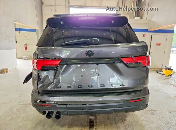 7SVAAABA5RX040677 2024 TOYOTA SEQUOIA Gray Widok z tyłu
