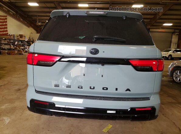 7SVAAABA5RX044504 2024 TOYOTA SEQUOIA Gray Widok z tyłu