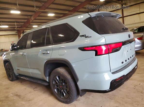 7SVAAABA5RX044504 2024 TOYOTA SEQUOIA Gray Tył lewy