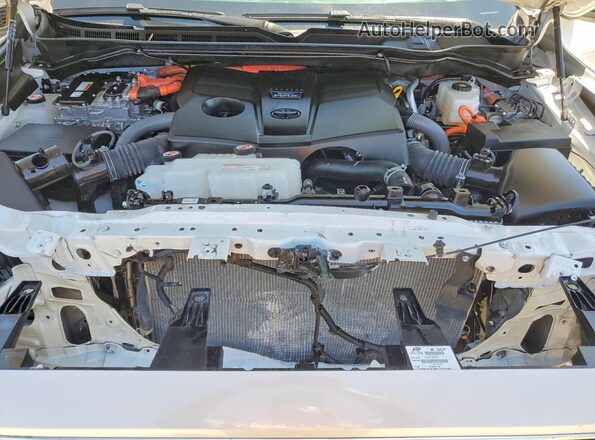 7SVAAABA5RX048004 2024 TOYOTA SEQUOIA White VIN կոդի պիտակի տեսք