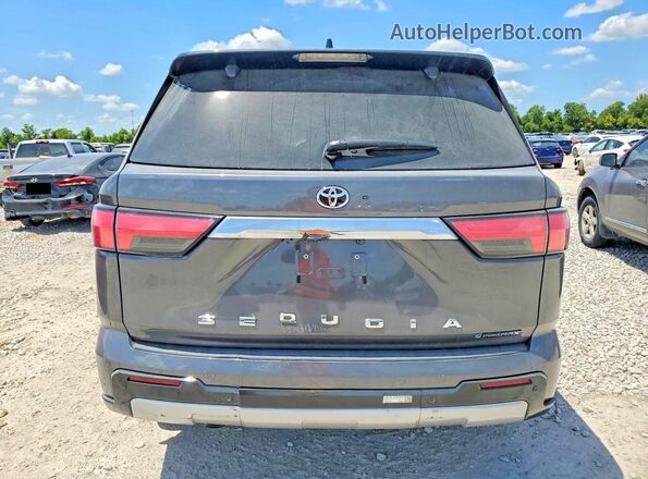 7SVAAABA7TX078435 2026 TOYOTA SEQUOIA Silver Widok z tyłu