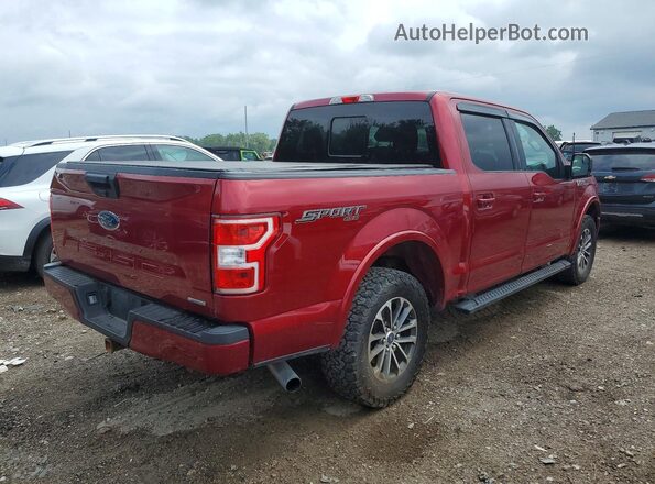 1FTEW1EP2KFB25307 2019 FORD F150 Red Առջևի աջ
