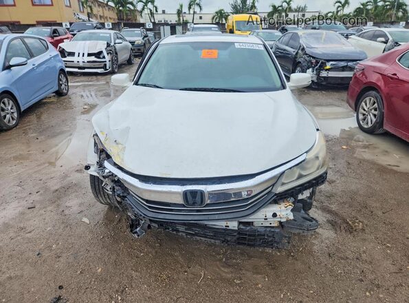 1HGCR2F75GA240458 2016 HONDA ACCORD White Widok z tyłu