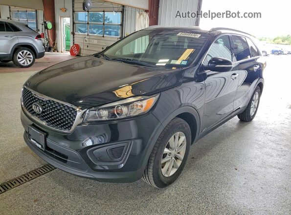 5XYPGDA3XHG251981 2017 KIA SORENTO Black Trasero izquierdo