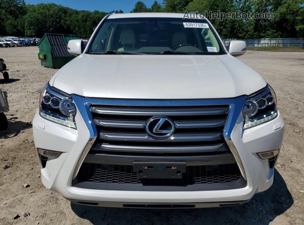 JTJBM7FX7H5180065 2017 LEXUS GX Белый Вид сзади