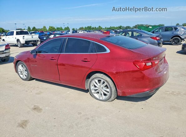 1G1ZE5STXHF215321 2017 CHEVROLET MALIBU Maroon Հետևի աջ