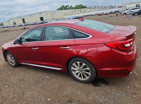 5NPE34AF8GH426829 2016 HYUNDAI SONATA Красный Задняя правая четверть