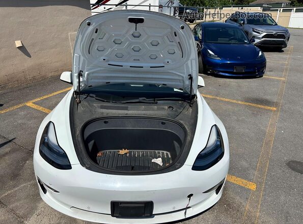 5YJ3E1EA9MF857852 2021 TESLA MODEL Белый Вид задних сидений