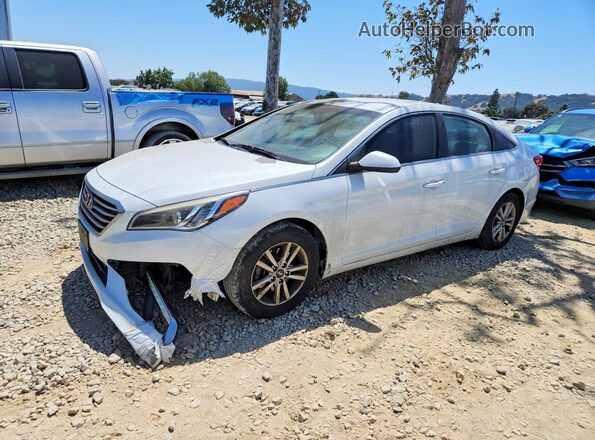 5NPE24AF6GH309995 2016 HYUNDAI SONATA White Tył lewy