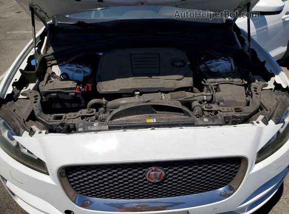 SADCK2FX0KA398741 2019 JAGUAR F-PACE White Вид наклейки з VIN-кодом