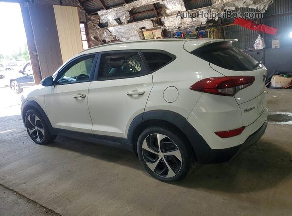KM8J3CA29GU093175 2016 HYUNDAI TUCSON White უკანა მარჯვენა
