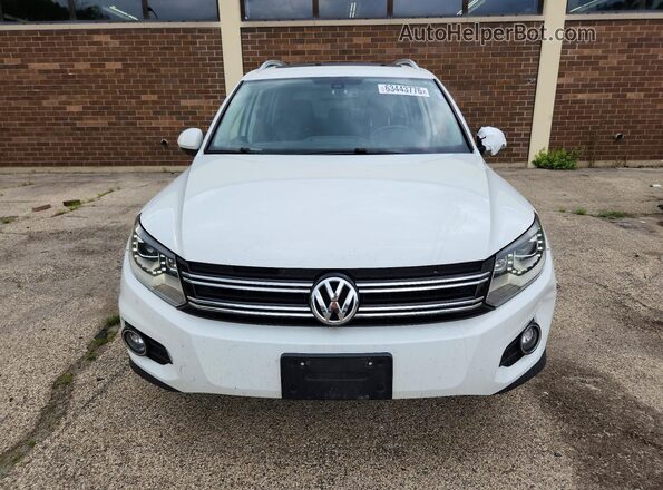 WVGBV7AX9GW591737 2016 VOLKSWAGEN TIGUAN Белый Вид сзади