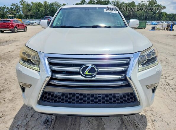JTJBM7FX1G5124461 2016 LEXUS GX Белый Вид сзади