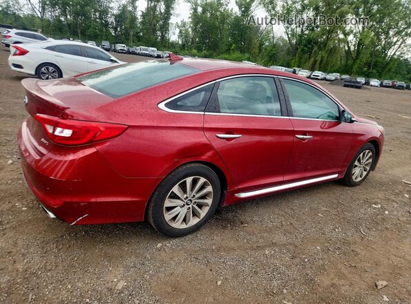 5NPE34AF8GH426829 2016 HYUNDAI SONATA Красный Передняя правая четверть