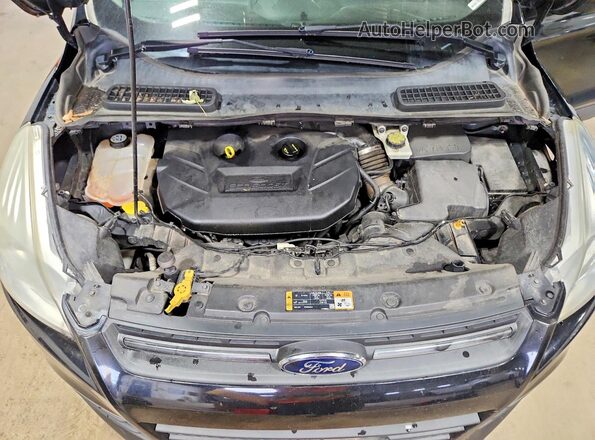 1FMCU9G99GUA77457 2016 FORD ESCAPE Black Widok naklejki z numerem VIN
